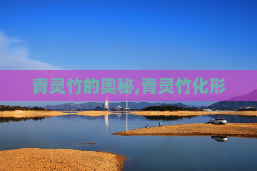 青灵竹的奥秘,青灵竹化形
