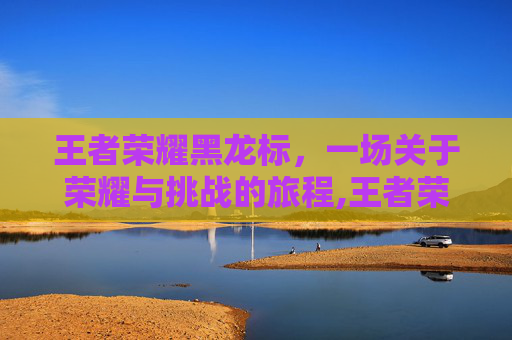 王者荣耀黑龙标，一场关于荣耀与挑战的旅程,王者荣耀黑龙标志图片