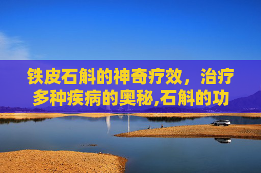 铁皮石斛的神奇疗效，治疗多种疾病的奥秘,石斛的功能主治