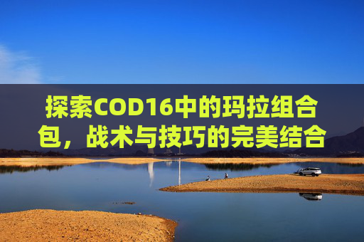 探索COD16中的玛拉组合包，战术与技巧的完美结合,cod16玛拉组合包