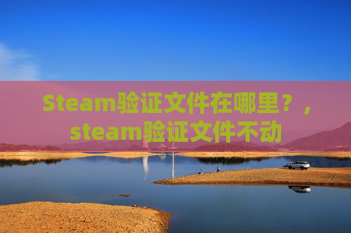 Steam验证文件在哪里？,steam验证文件不动