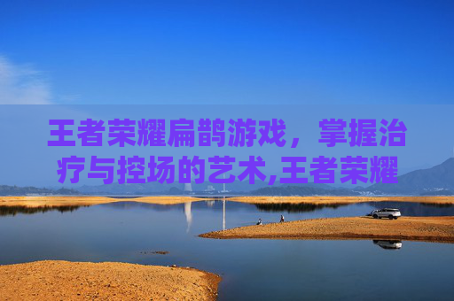 王者荣耀扁鹊游戏，掌握治疗与控场的艺术,王者荣耀扁鹊游戏解说