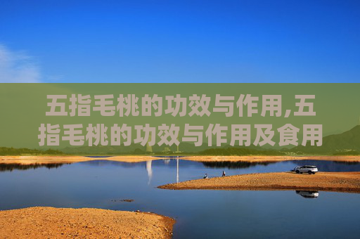 五指毛桃的功效与作用,五指毛桃的功效与作用及食用方法