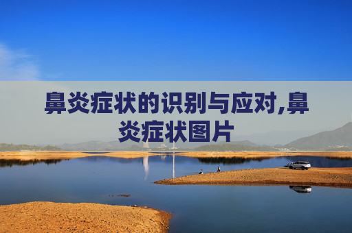 鼻炎症状的识别与应对,鼻炎症状图片