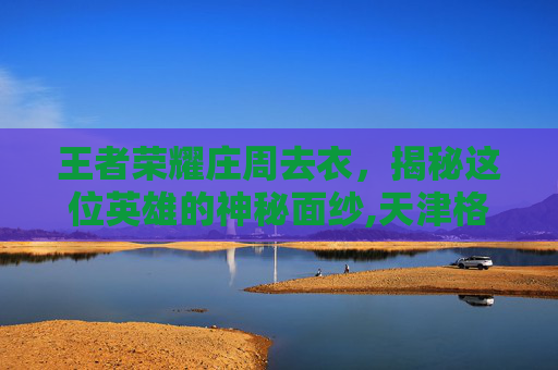 王者荣耀庄周去衣，揭秘这位英雄的神秘面纱,天津格林国际幼儿园学费