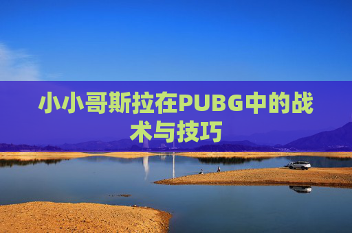 小小哥斯拉在PUBG中的战术与技巧