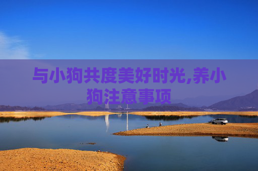 与小狗共度美好时光,养小狗注意事项