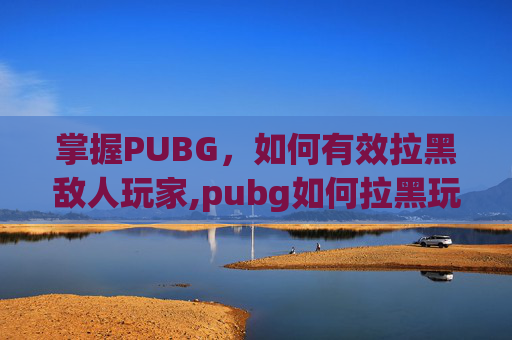 掌握PUBG，如何有效拉黑敌人玩家,pubg如何拉黑玩家