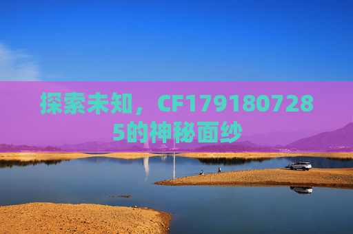 探索未知，CF1791807285的神秘面纱