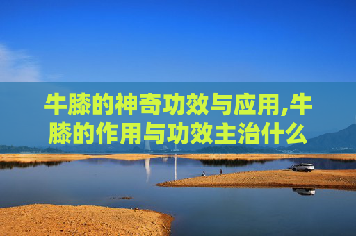 牛膝的神奇功效与应用,牛膝的作用与功效主治什么