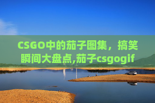 CSGO中的茄子图集，搞笑瞬间大盘点,茄子csgogif