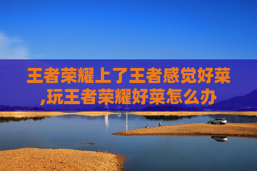 王者荣耀上了王者感觉好菜,玩王者荣耀好菜怎么办