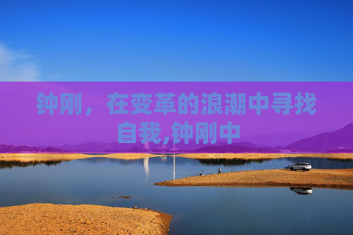 钟刚，在变革的浪潮中寻找自我,钟刚中