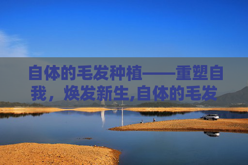 自体的毛发种植——重塑自我，焕发新生,自体的毛发种植多少钱