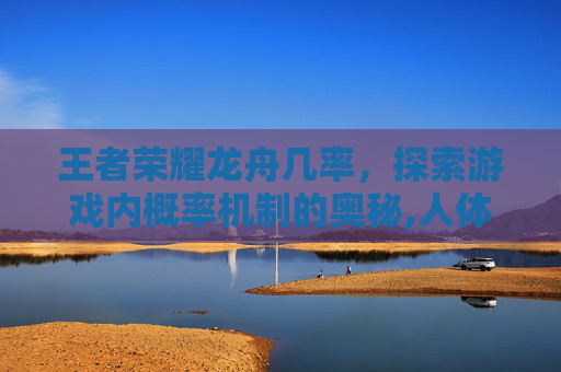 王者荣耀龙舟几率，探索游戏内概率机制的奥秘,人体结构几何体速写