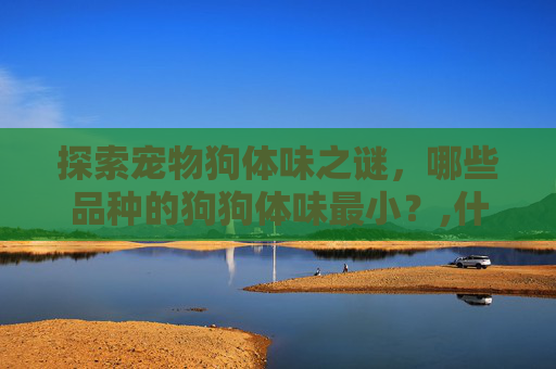 探索宠物狗体味之谜，哪些品种的狗狗体味最小？,什么狗体味最小不掉毛不乱叫