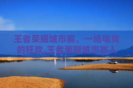 王者荣耀城市赛，一场电竞的狂欢,王者荣耀城市赛入口在哪里