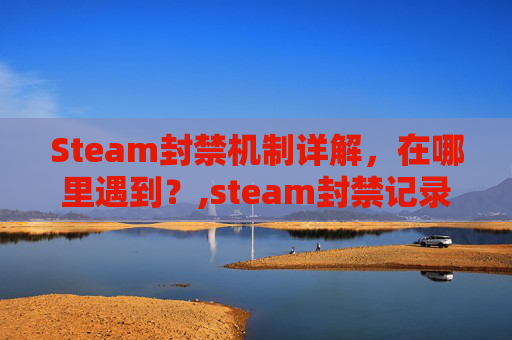 Steam封禁机制详解，在哪里遇到？,steam封禁记录会存在多久