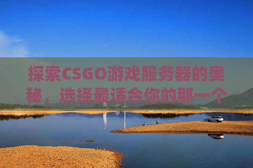 探索CSGO游戏服务器的奥秘，选择最适合你的那一个,csgo用哪个服务器比较好