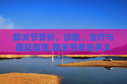 踝关节骨折，诊断、治疗与康复指南,踝关节骨折多久能康复