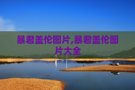 暴君盖伦图片,暴君盖伦图片大全