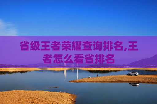 省级王者荣耀查询排名,王者怎么看省排名