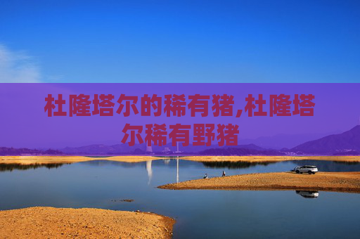 杜隆塔尔的稀有猪,杜隆塔尔稀有野猪