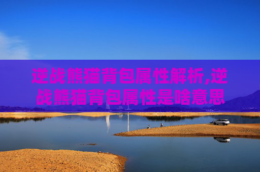 逆战熊猫背包属性解析,逆战熊猫背包属性是啥意思