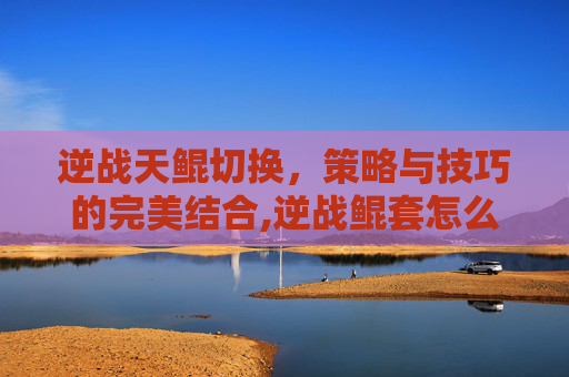 逆战天鲲切换，策略与技巧的完美结合,逆战鲲套怎么切换形态
