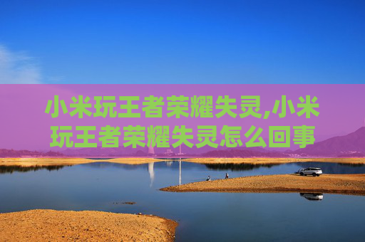 小米玩王者荣耀失灵,小米玩王者荣耀失灵怎么回事