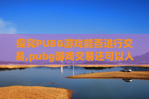 探究PUBG游戏能否进行交易,pubg游戏交易还可以入局么