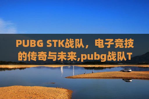 PUBG STK战队，电子竞技的传奇与未来,pubg战队TWIS成员