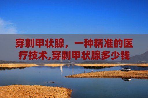 穿刺甲状腺，一种精准的医疗技术,穿刺甲状腺多少钱