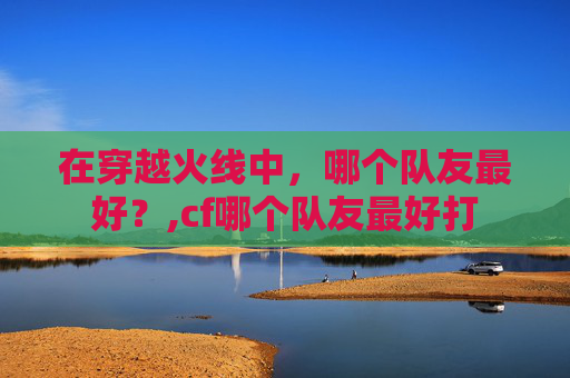 在穿越火线中，哪个队友最好？,cf哪个队友最好打