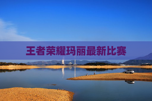 王者荣耀玛丽最新比赛