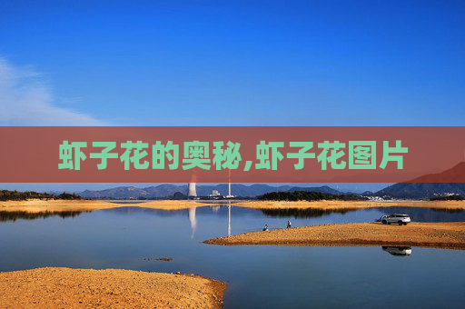 虾子花的奥秘,虾子花图片
