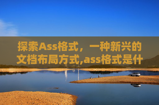 探索Ass格式，一种新兴的文档布局方式,ass格式是什么文件