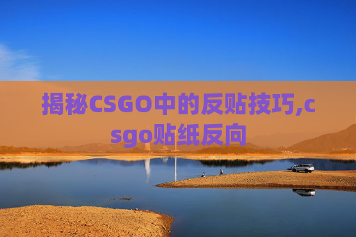 揭秘CSGO中的反贴技巧,csgo贴纸反向