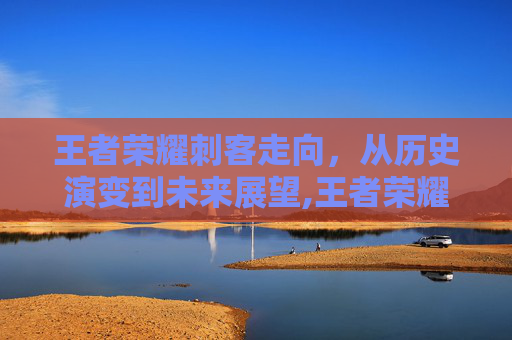 王者荣耀刺客走向，从历史演变到未来展望,王者荣耀刺客走向怎么设置