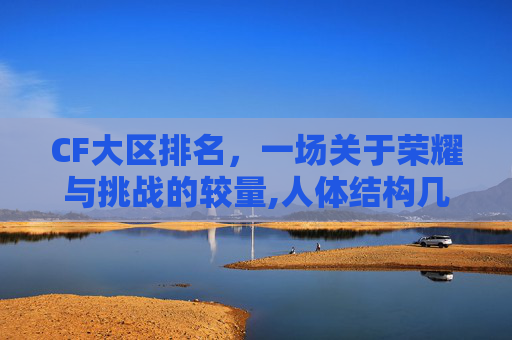CF大区排名，一场关于荣耀与挑战的较量,人体结构几何体速写