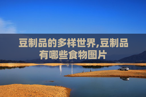 豆制品的多样世界,豆制品有哪些食物图片