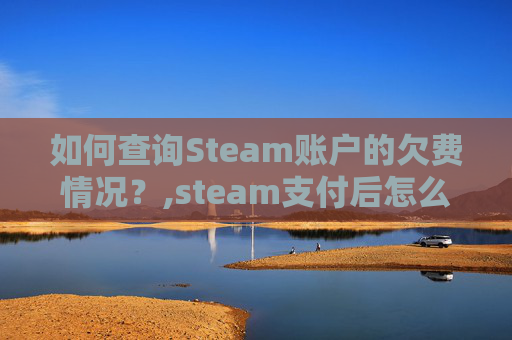 如何查询Steam账户的欠费情况？,steam支付后怎么查