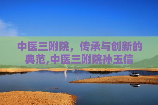 中医三附院，传承与创新的典范,中医三附院孙玉信