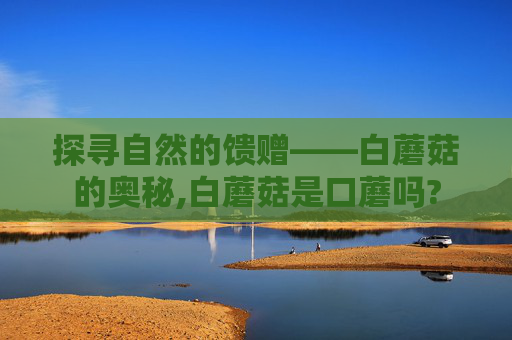 探寻自然的馈赠——白蘑菇的奥秘,白蘑菇是口蘑吗?