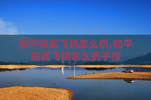 和平精英飞机怎么扔,和平精英飞机怎么扔子弹