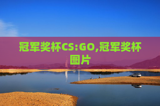 冠军奖杯CS:GO,冠军奖杯图片