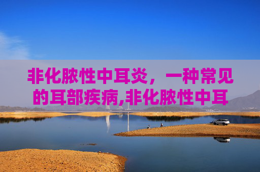 非化脓性中耳炎，一种常见的耳部疾病,非化脓性中耳炎用什么药