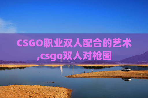 CSGO职业双人配合的艺术,csgo双人对枪图
