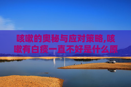 咳嗽的奥秘与应对策略,咳嗽有白痰一直不好是什么原因