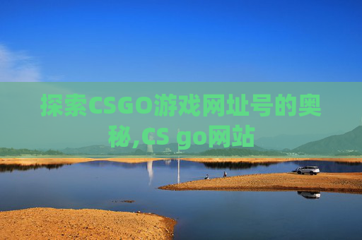 探索CSGO游戏网址号的奥秘,CS go网站